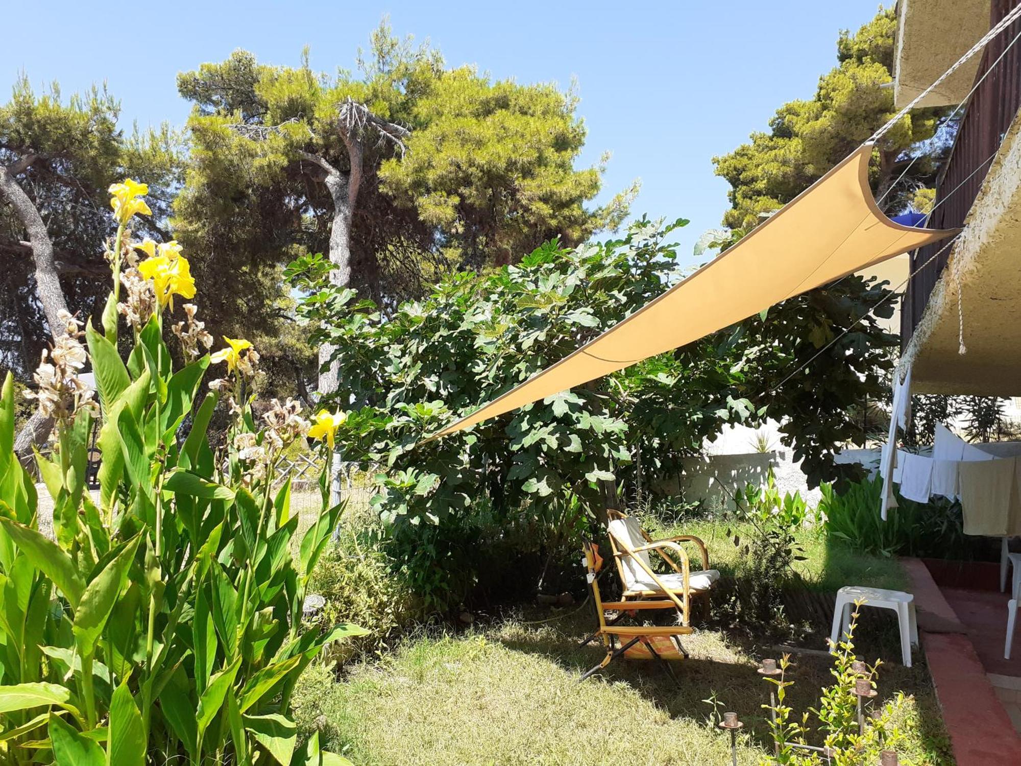 Traditional Guest House Agia Paraskevi  Luaran gambar
